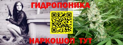 твердый Новозыбков