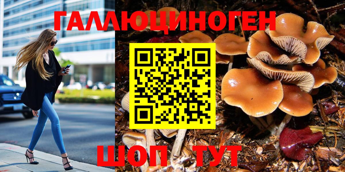 Галлюциногенные грибы GOLDEN TEACHER Славгород